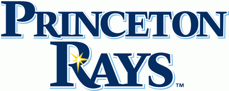 Princeton Rays 2009-Pres Primary Logo iron on paper